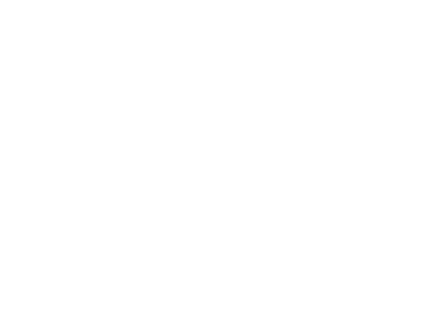 Wink Optometry Logo